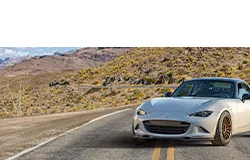 MS Product Page MS932 Sport BG